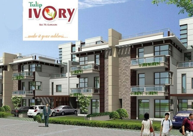 Tulip Ivory Villas-Gurgaon